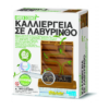 4M Toys Κατασκευή Καλλιέργεια Φασολιού στον Λαβύρινθο - Εκπαιδευτικό παιχνίδι για παιδιά 8 ετών και άνω