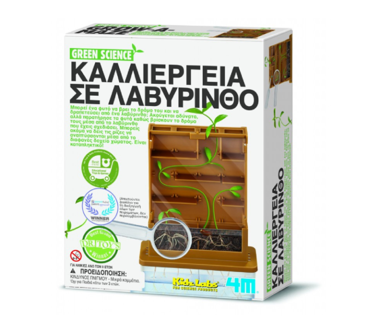 4M Toys Κατασκευή Καλλιέργεια Φασολιού στον Λαβύρινθο - Εκπαιδευτικό παιχνίδι για παιδιά 8 ετών και άνω