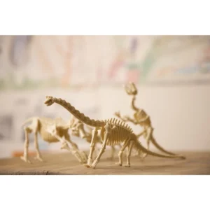 Ανασκαφή Βραχιόσαυρος 4M Toys