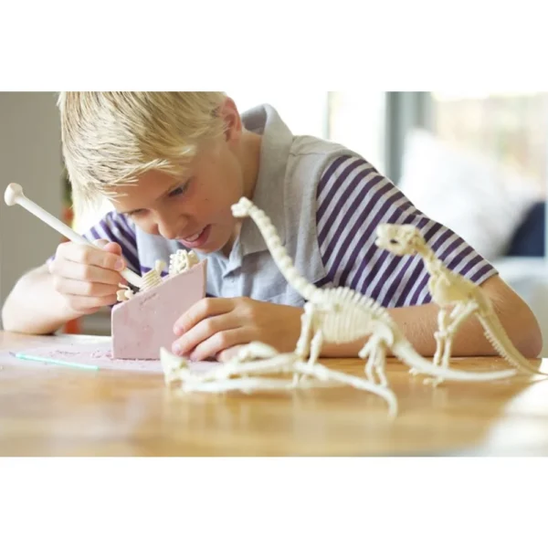 Ανασκαφή Βραχιόσαυρος 4M Toys
