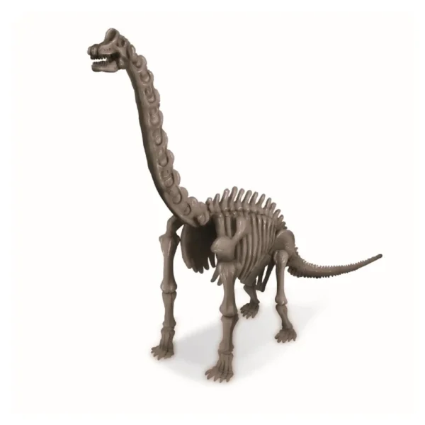 Ανασκαφή Βραχιόσαυρος 4M Toys