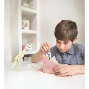 Ανασκαφή Τυραννόσαυρος Rex 4M Toys