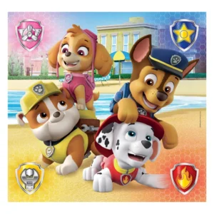 Clementoni Παζλ Paw Patrol 3x48 – Παιδικό Εκπαιδευτικό Παιχνίδι